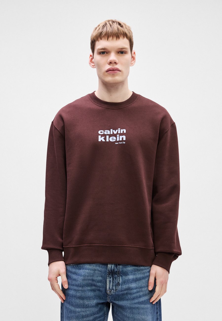 Толстовка Calvin Klein RETRO GRAPHIC CREW, Rich Brown/Dark Brown — фото 3