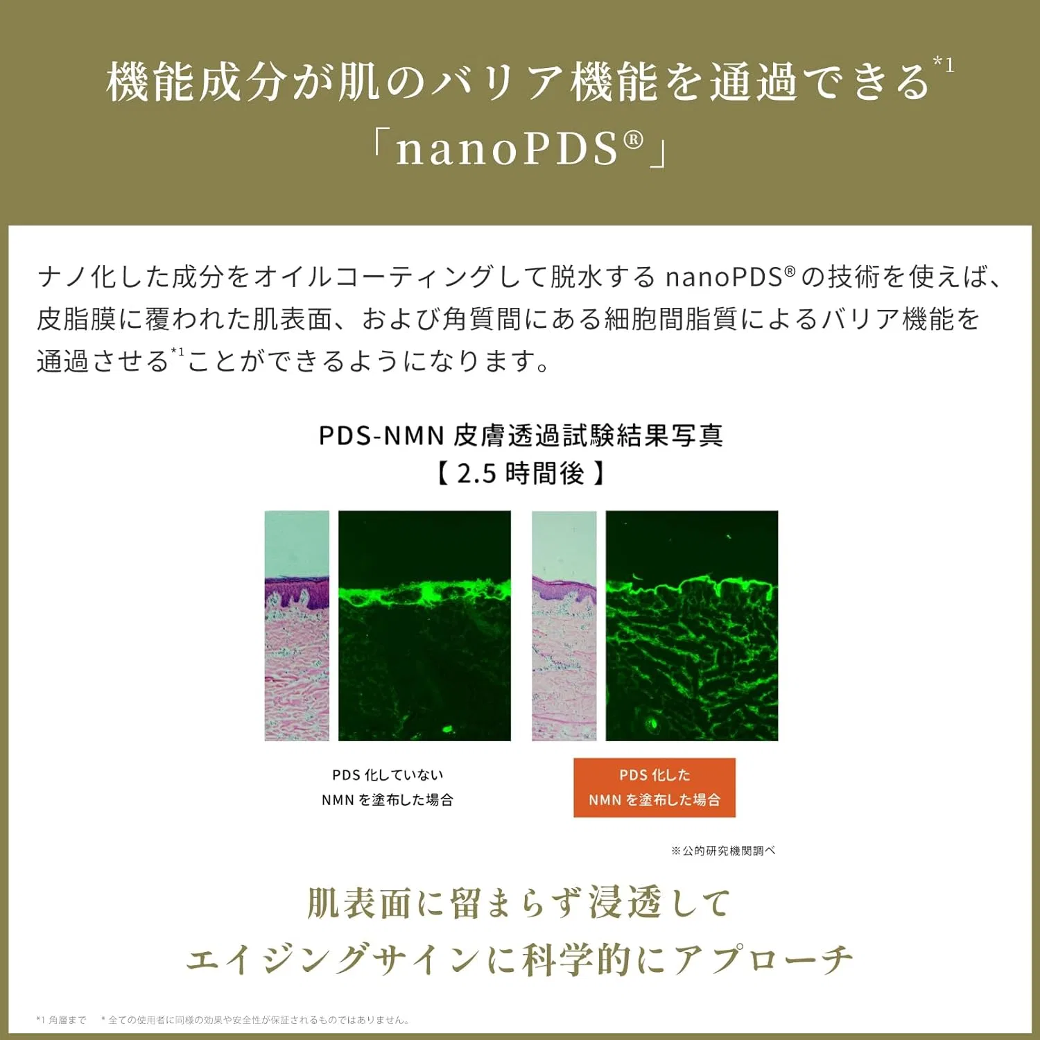 Сыворотка Mytreya — Для лица nanoPDS NMN Exosome, 100 мл — фото 3