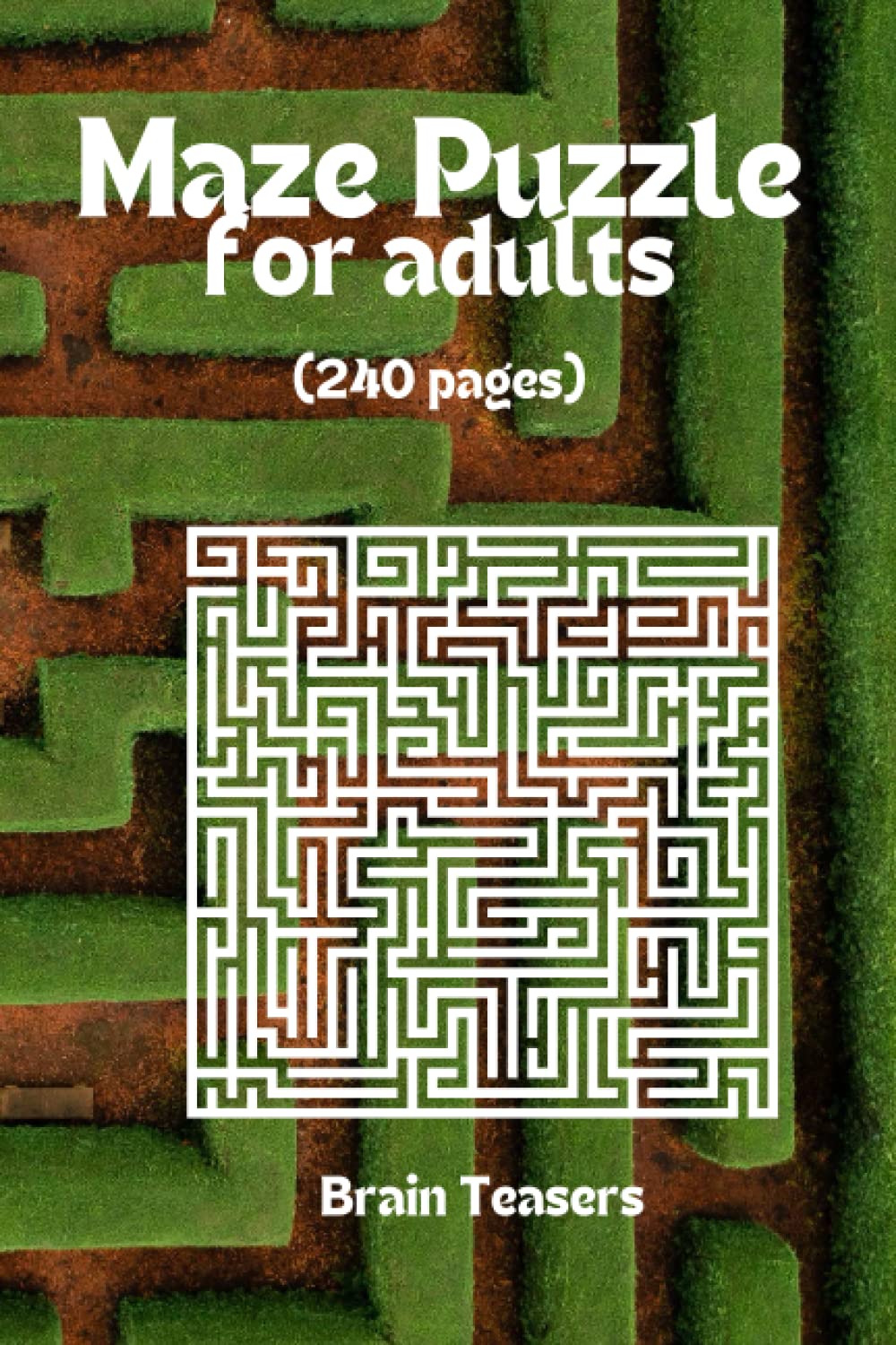 

Maze Puzzle Book for Adults | Brainteasers | Labyrinth puzzles | Challenging mazes | Puzzle books for grown-ups | Brain teasers for adults | Maze puzzles for the curious mind (Independently published)