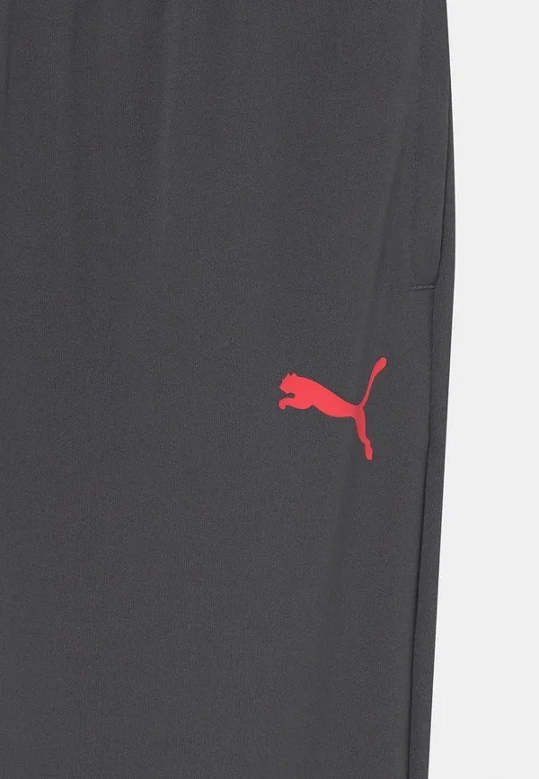 Штаны тренировочные Neymar training pant jr tracksuit bottoms Puma, цвет черное дерево — фото 4