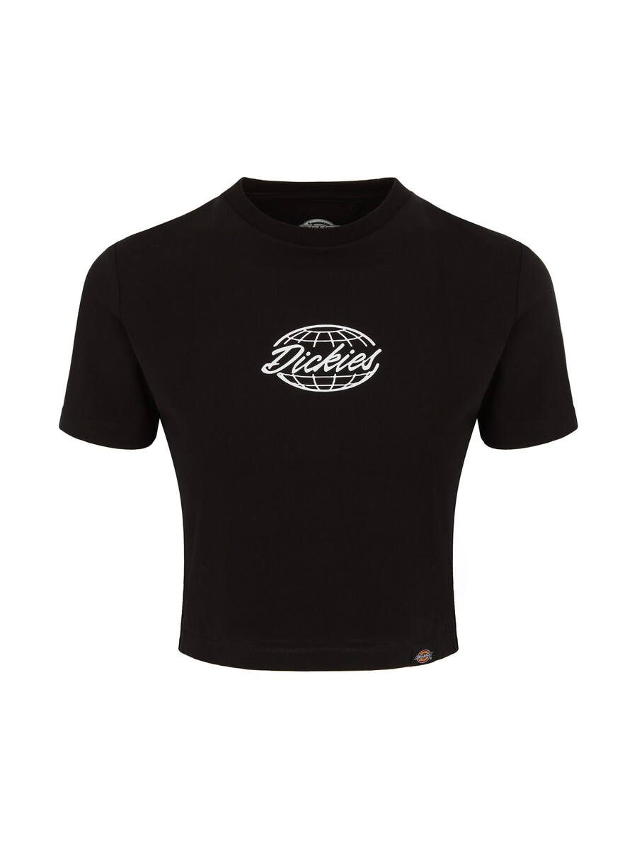 

Футболка DICKIES Shirt GLOBE, черный