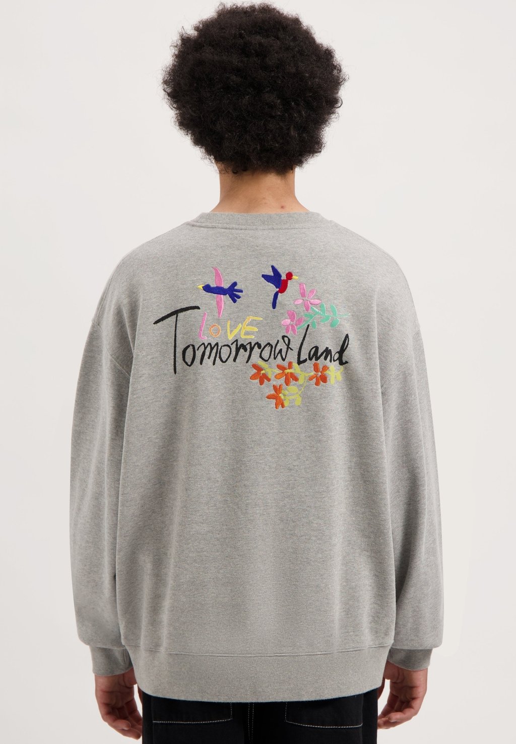 

Толстовка FOUNDATION BACK Tomorrowland Store, серый