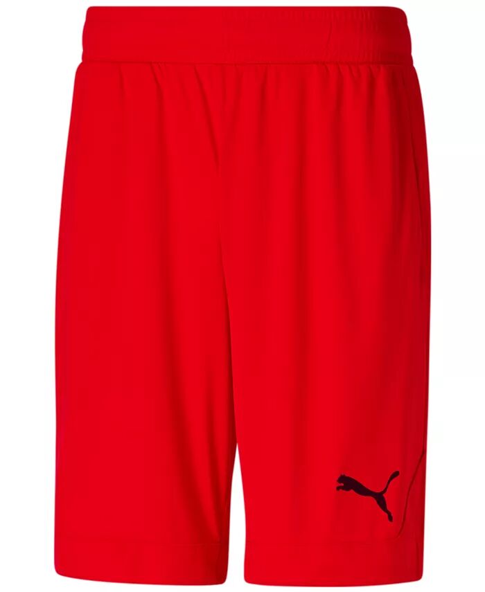 

Мужские баскетбольные шорты dryCELL 10" Puma, красный