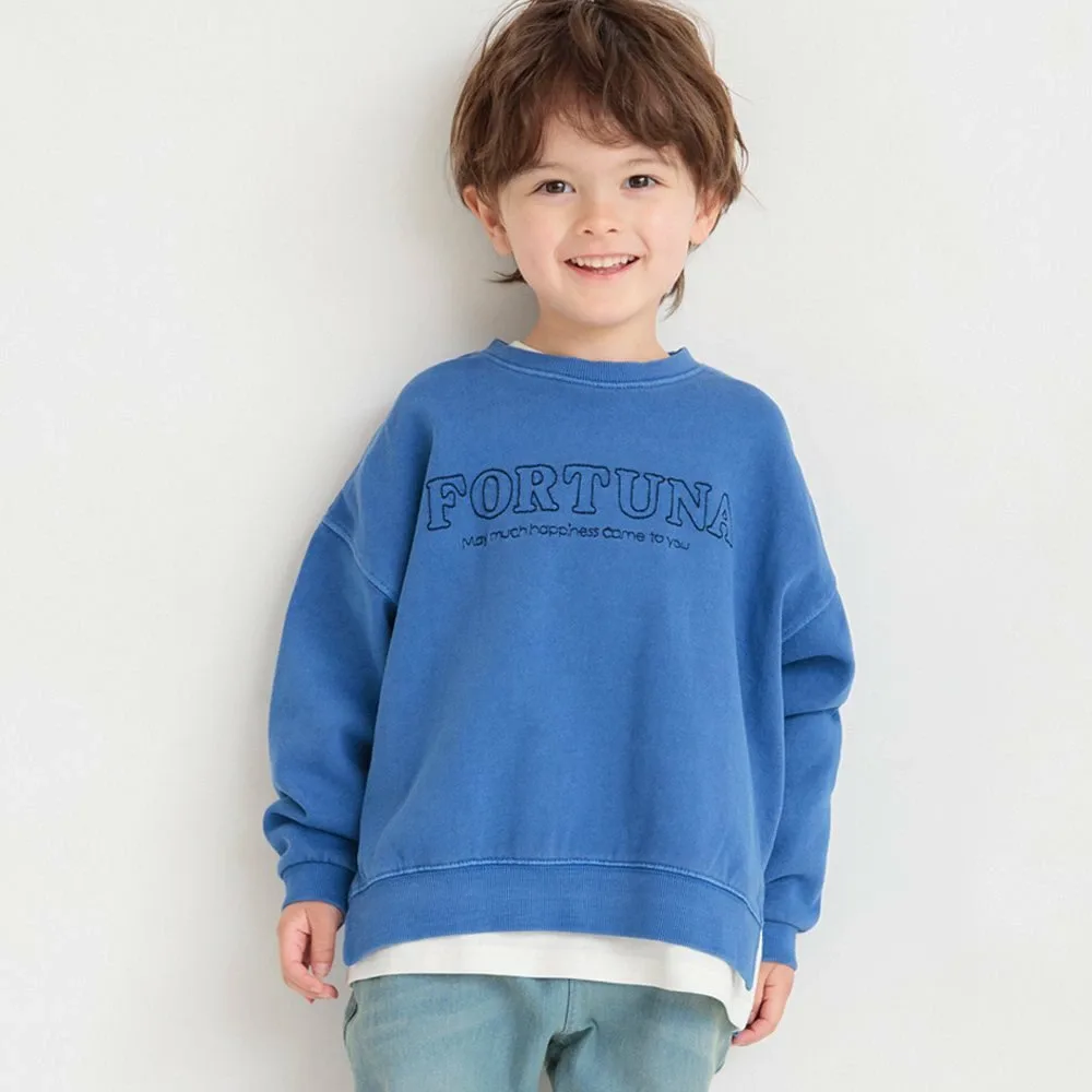 Толстовка Тренажер для пигментации HARU COLOR Branshes, blue