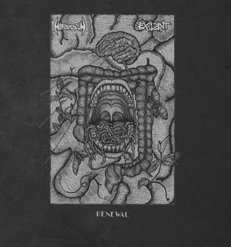 

Виниловая пластинка Exilent / Moribund Scum: Renewal (Split)