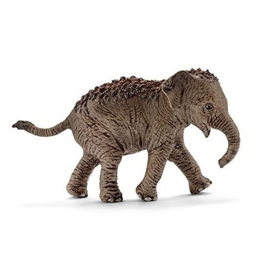 

Schleich, Коллекционная статуэтка, Молодой азиатский слон, Коричневый, Schleich, Коллекционная статуэтка, Молодой азиатский слон