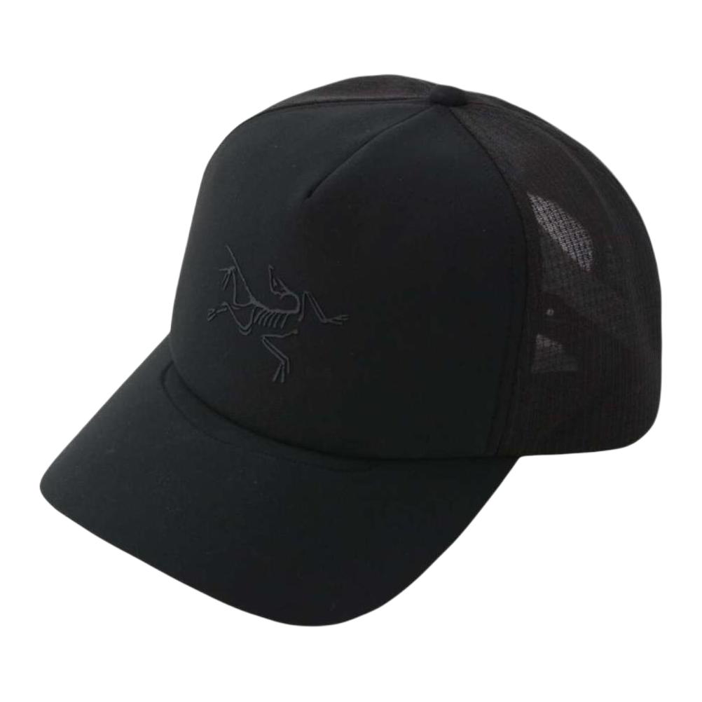 

Универсальная черная бейсболка из полиэстера Arcteryx