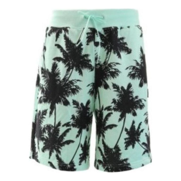 

Спортивные шорты PUMA Palm Tree Short 'Teal'
