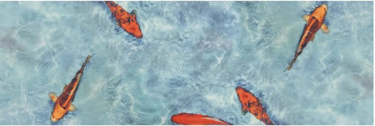 

Идеи Primaflor в текстильной виниловой дорожке "KOI кухонная дорожка", прямоугольная, кухонная дорожка из винила, протираемая, мотив рыбы кои, кухня Primaflor-Ideen in Textil 60х400 см, синий