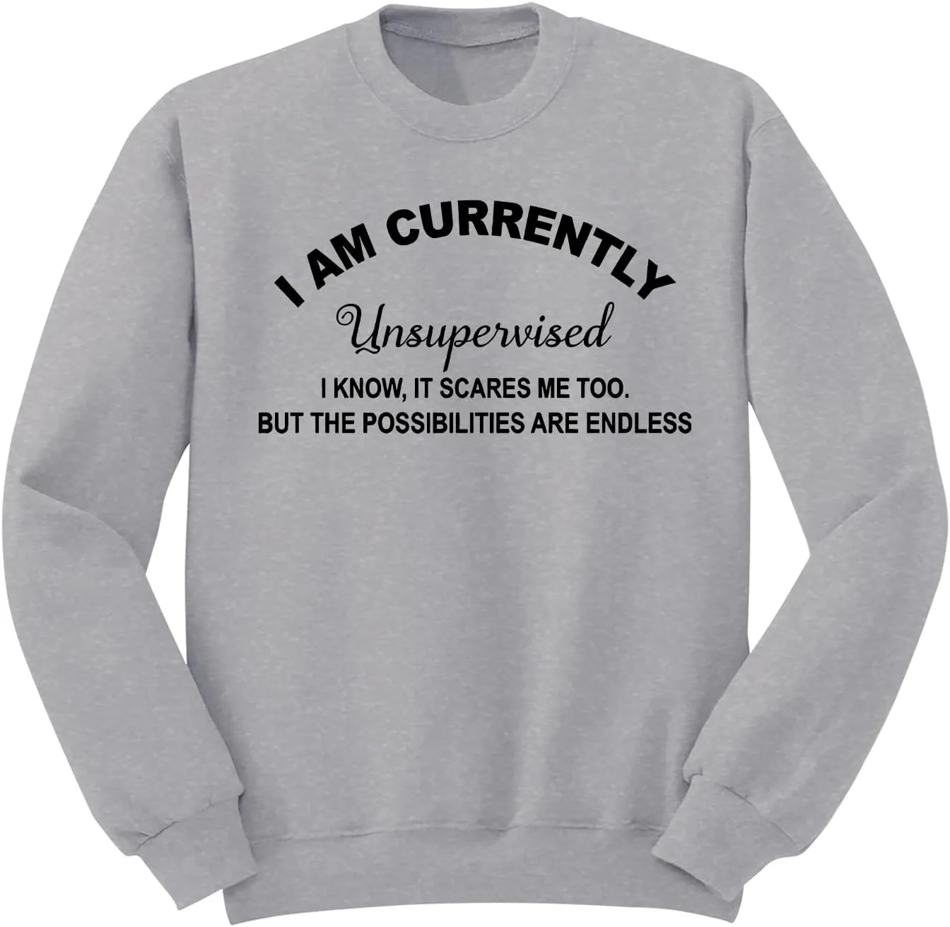 

Толстовка I Am Currently Unsupervised sjosio