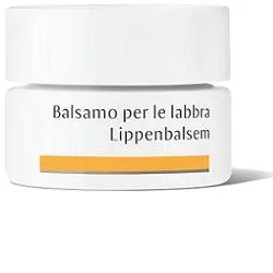 

Dr Hauschka Bals Lips 4,5G