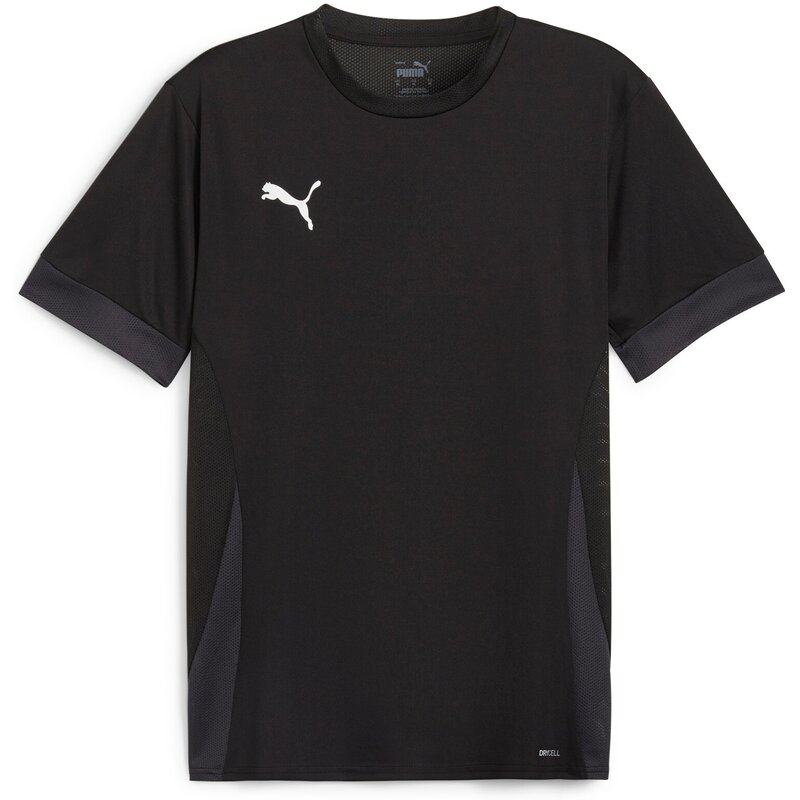 

Футболка Fantrikot teamgoal для матча Puma, белый