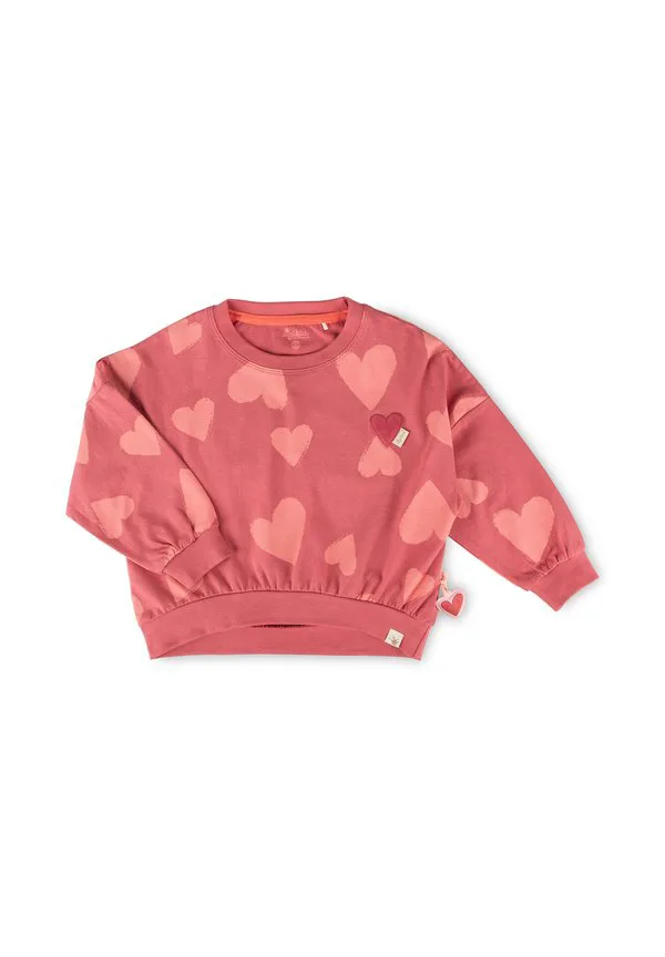 Толстовка с изображением птиц лангарм Sigikid, Rosa