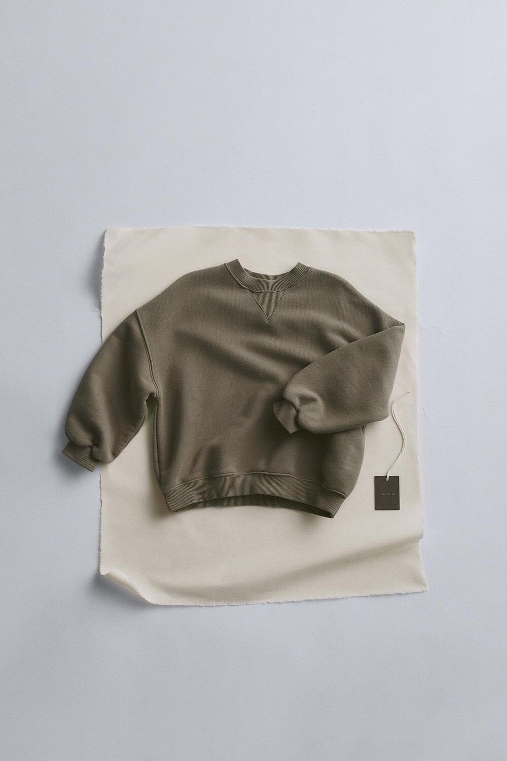 

Timelesz - вышитая толстовка ZARA, коричневый/серо-коричневый