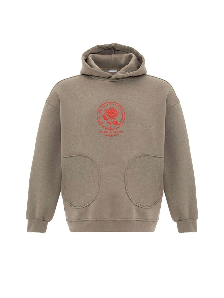 

Толстовка Dandalo Patrick, хаки