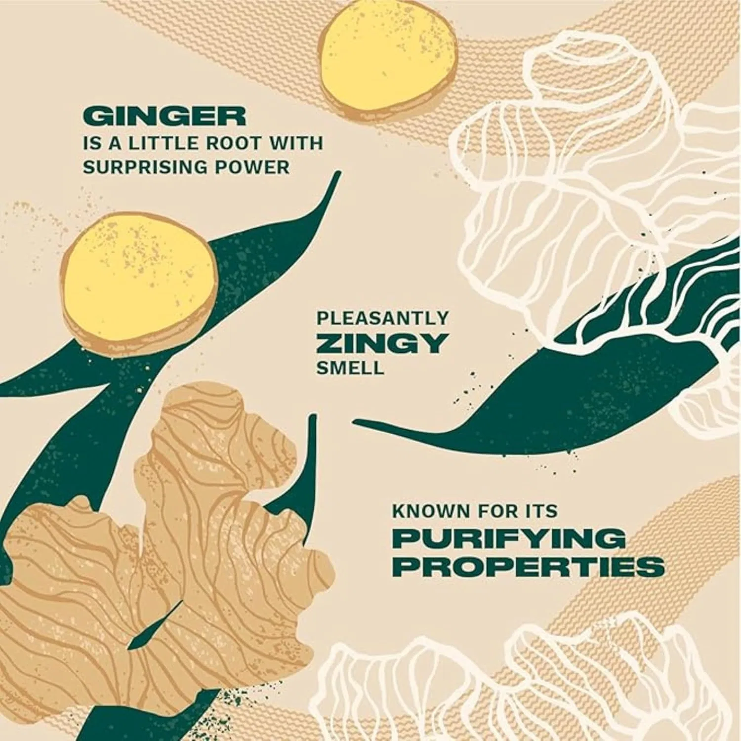 Кондиционер для волос «Ginger» от The Body Shop The Body Shop — фото 4