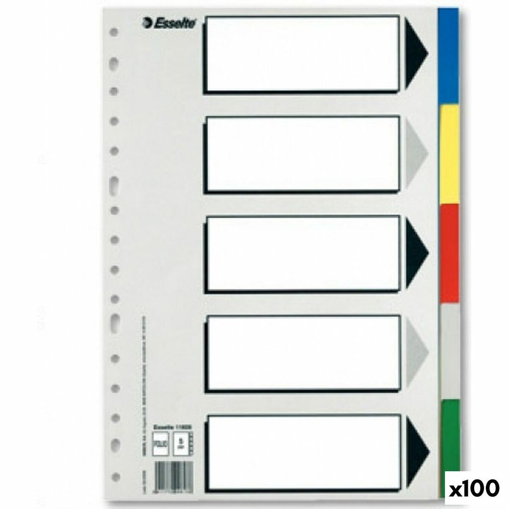 

Прокладки Esselte 5 страниц цветные DIN А4 (100 шт.)