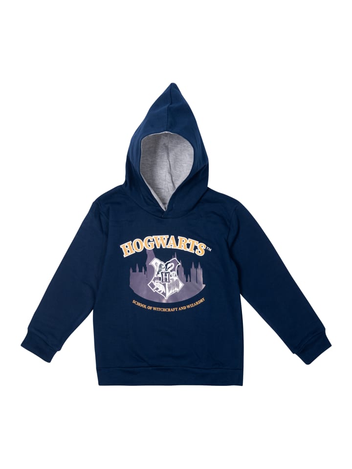

Худи Harry Potter, синий