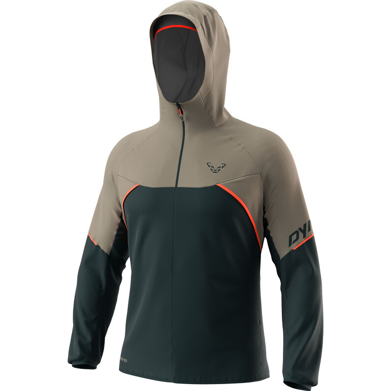 

Мужская куртка Alpine GTX Dynafit, серый
