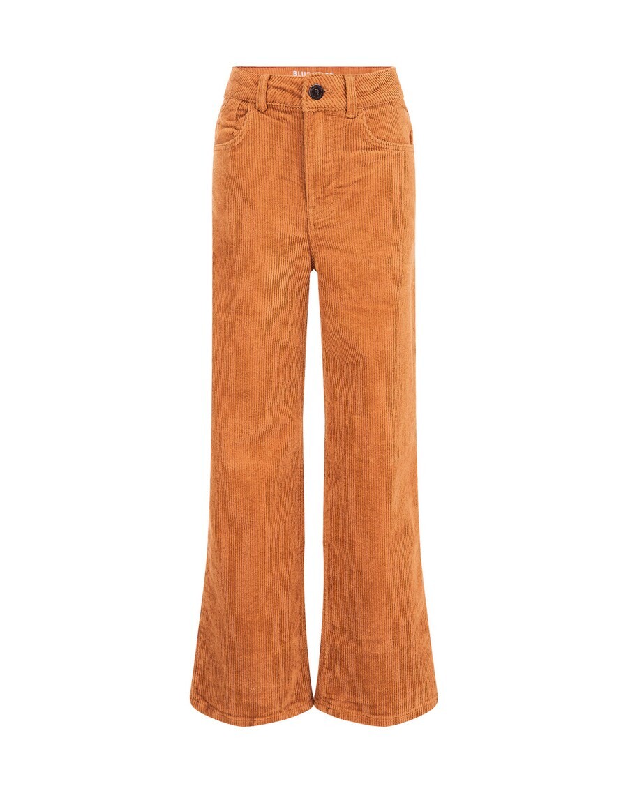 

Брюки WE Fashion Flared Pants, оранжевый