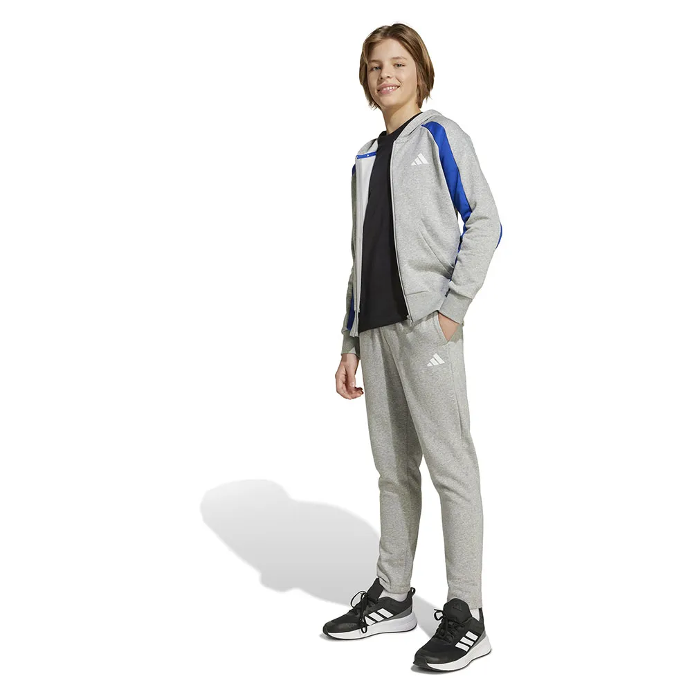 

Спортивный костюм adidas Seasonal Essentials Colorblock Fleece, серый