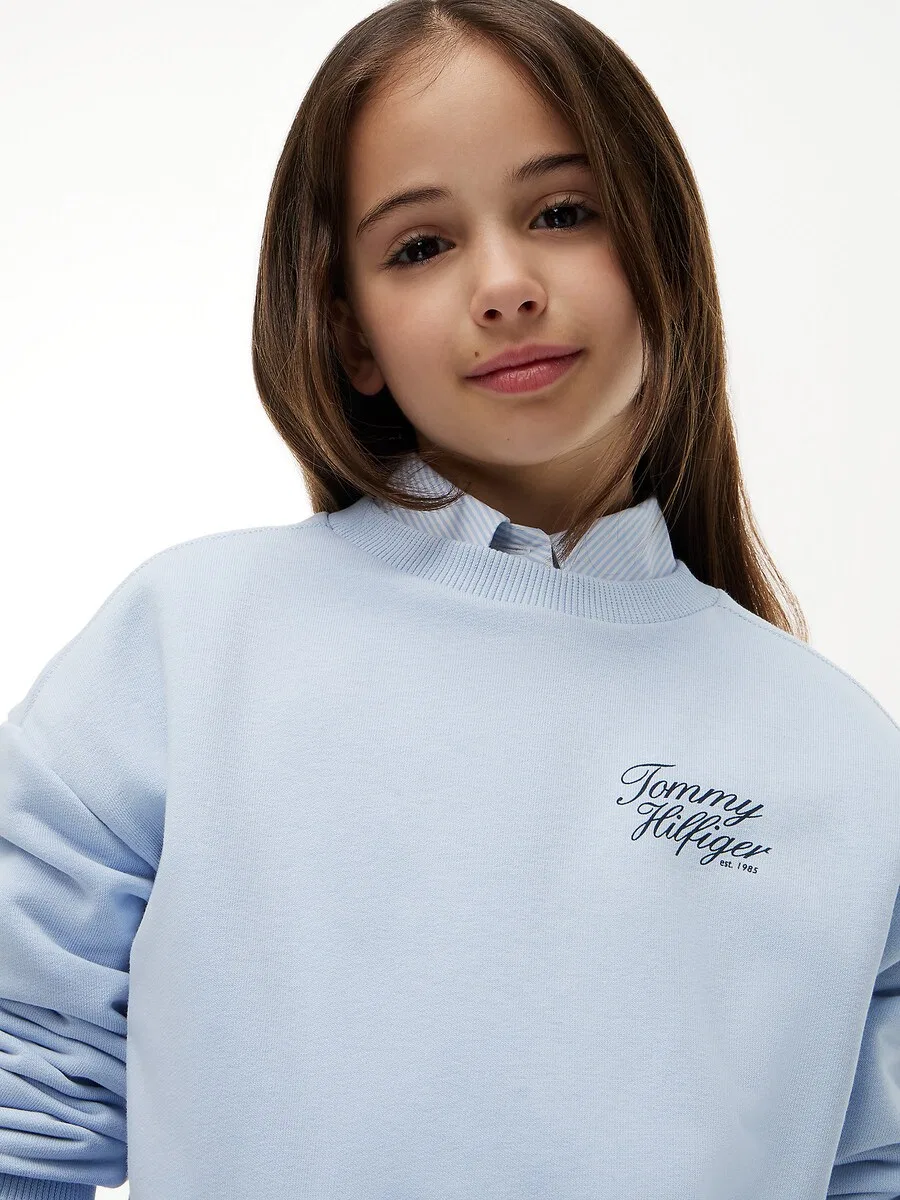 Толстовка TOMMY HILFIGER небесно-голубого цвета — фото 3
