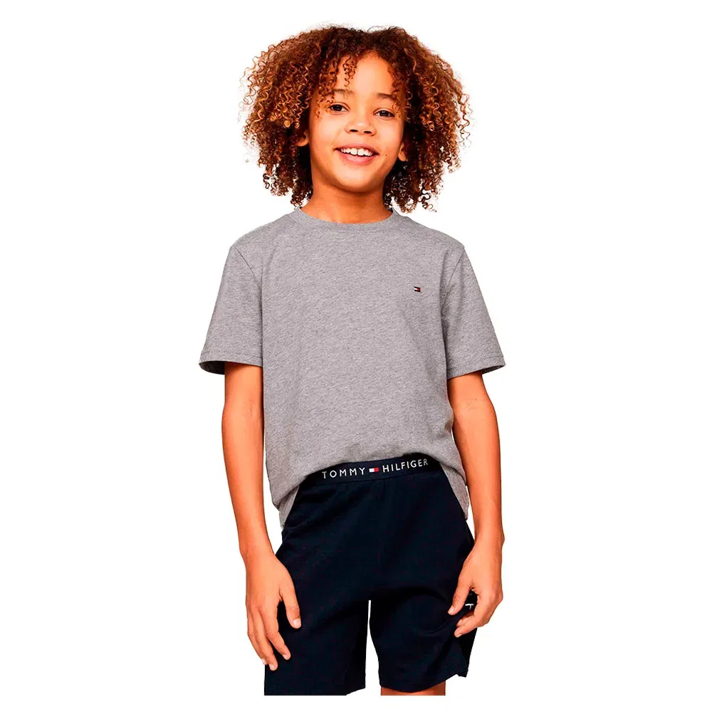 Футболка с коротким рукавом Tommy Hilfiger Signature Essential, 2 шт, серый