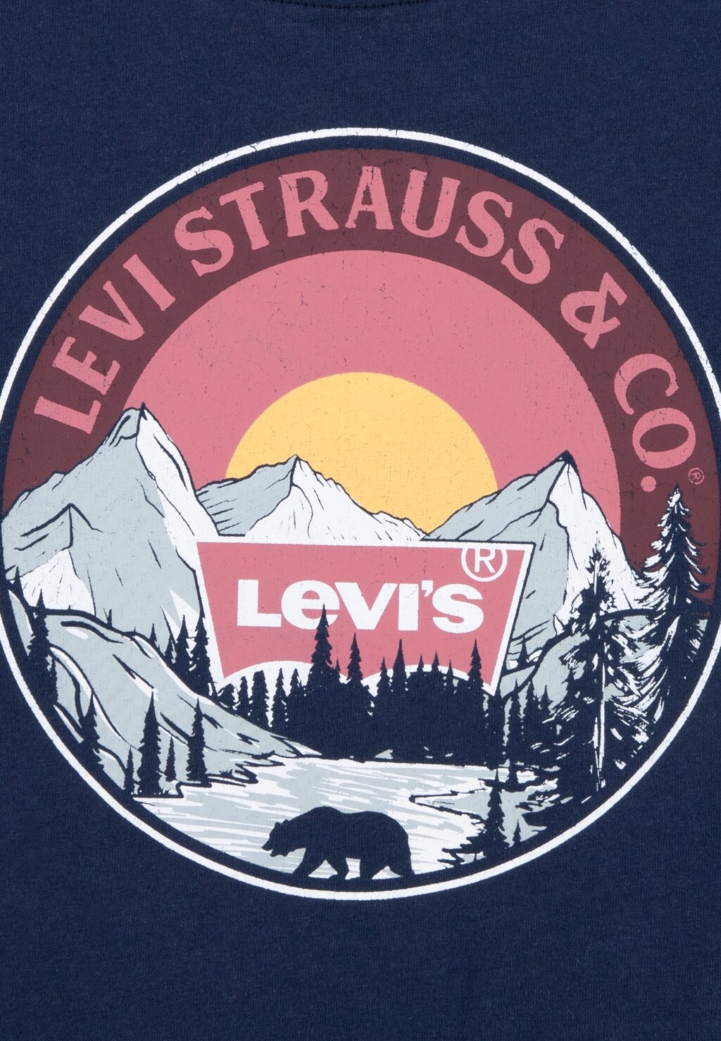 

Футболка SUNRISE OVER THE RIDGE TEE Levi's, темно-синий