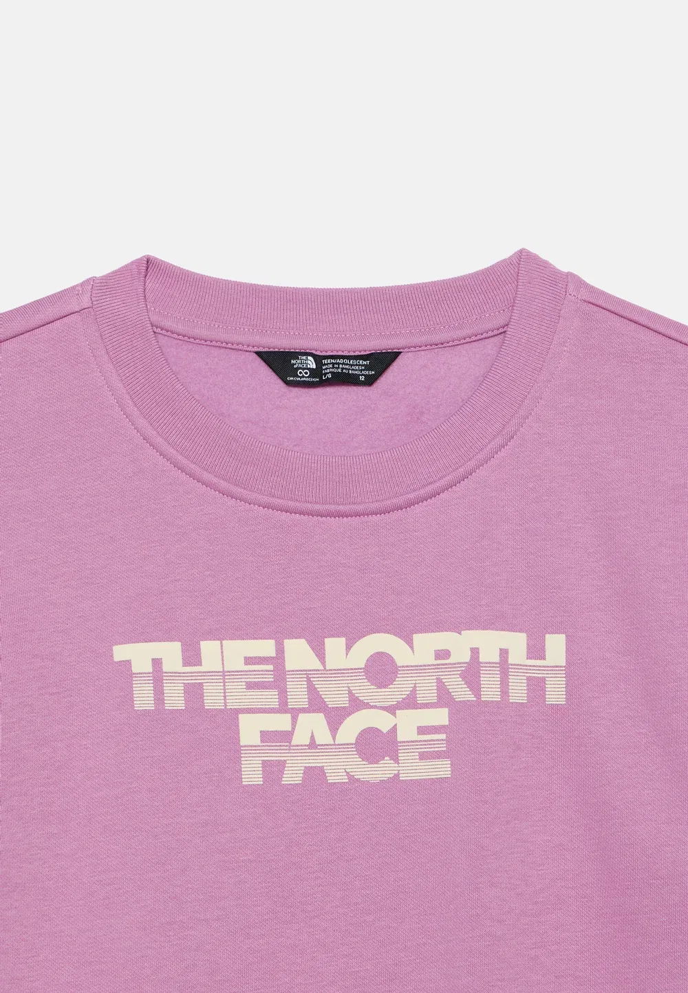 Трусы-Свитшоты Teen Chalbi Relaxed Crew с графическим принтом, унисекс The North Face, Hushed Lavender — фото 3