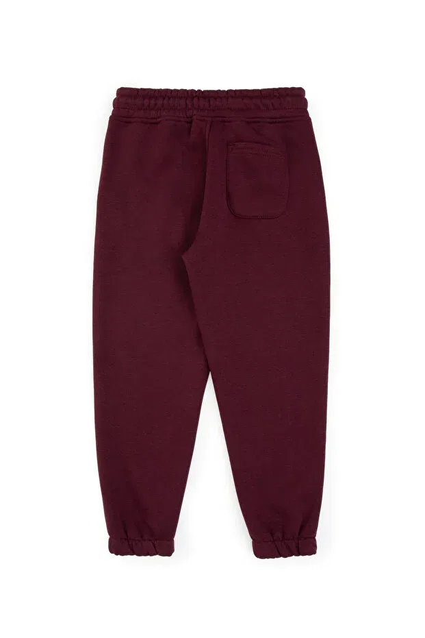 Детские спортивные штаны для мальчиков зауженные U.S. Polo Assn., Plum — фото 3