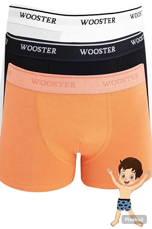 Детские боксеры для мальчиков хлопковые комплект 3 шт Wooster, Multicolor