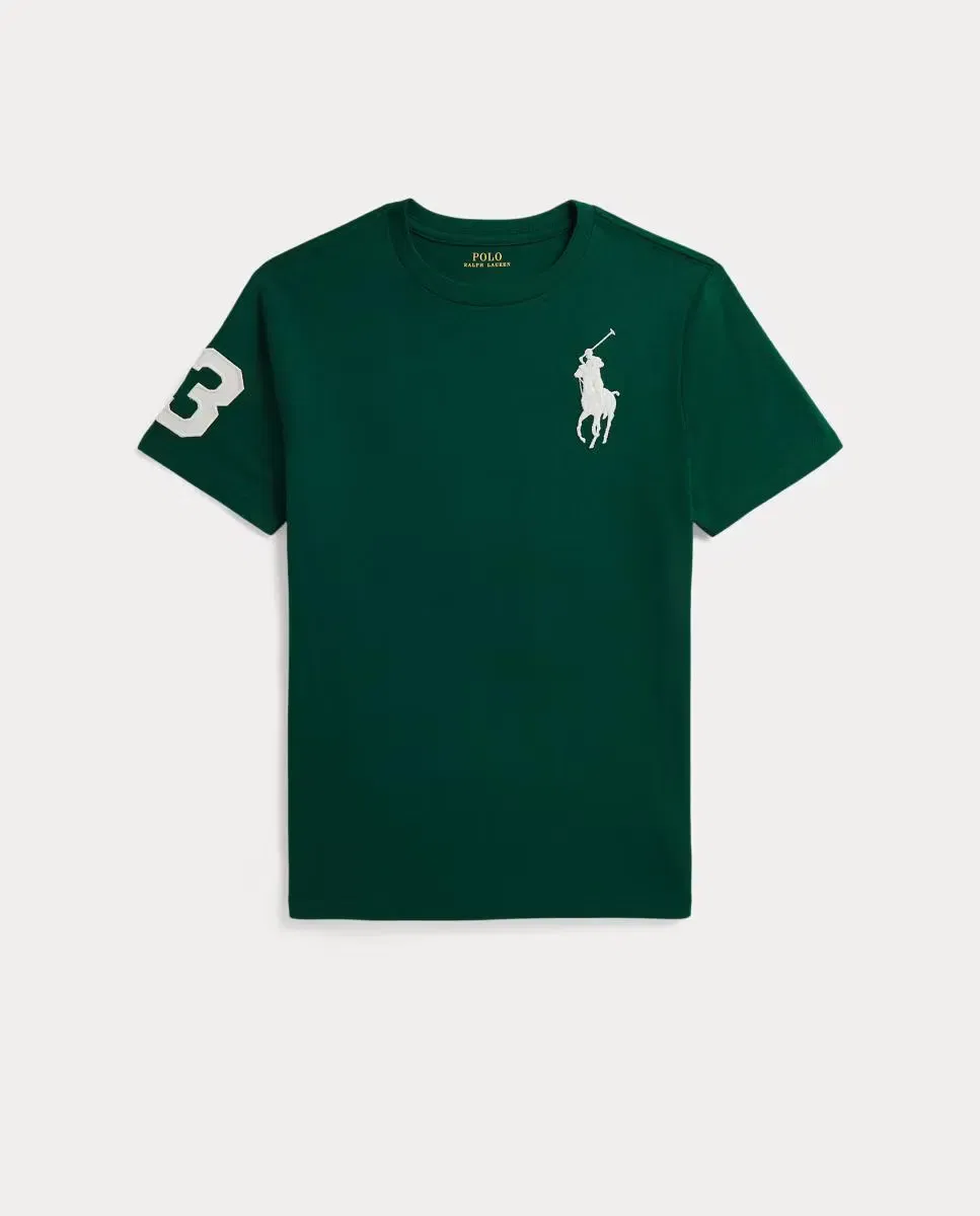 Детская футболка для мальчиков с принтом Big Pony Polo Ralph Lauren, Verde Oscuro