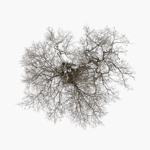 

Виниловая пластинка Metcalfe, John - Tree