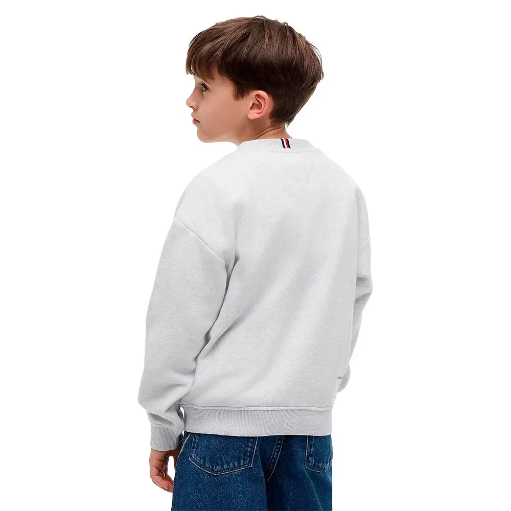 Детский свитшот для мальчиков хлопковый Tommy hilfiger, Grey — фото 2