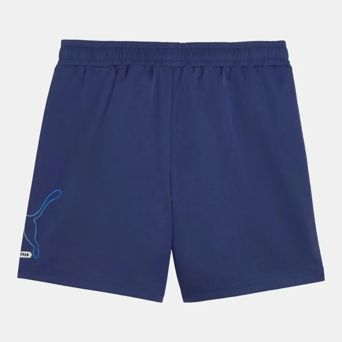 Детские шорты для мальчиков с принтом ESS LOGO LAB Woven Puma, Azul — фото 2