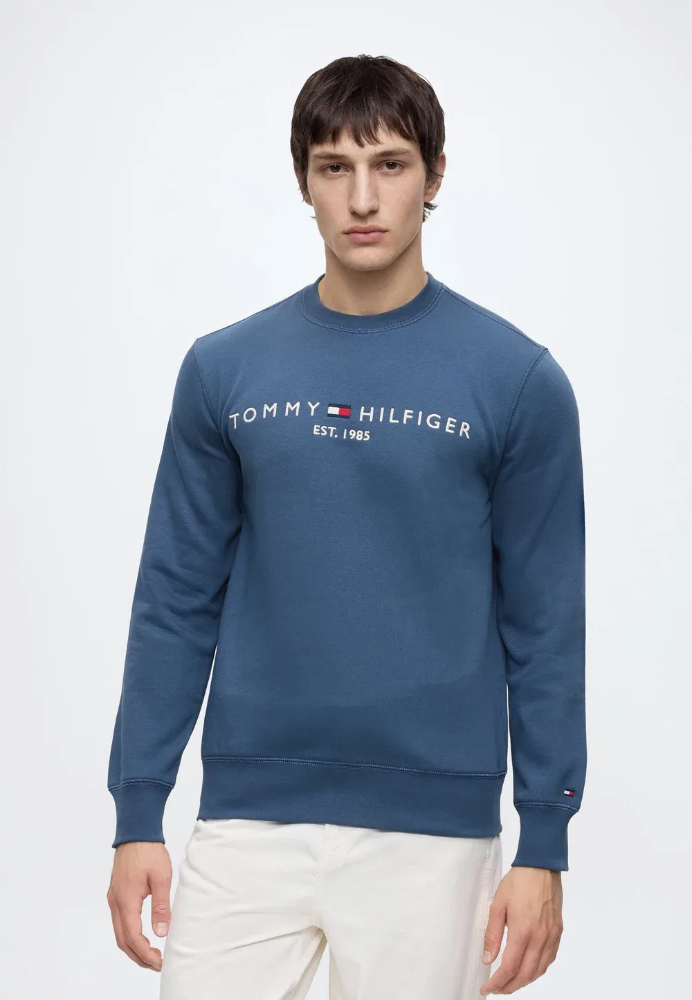 Логотип - толстовка Tommy Hilfiger, Aegean Sea