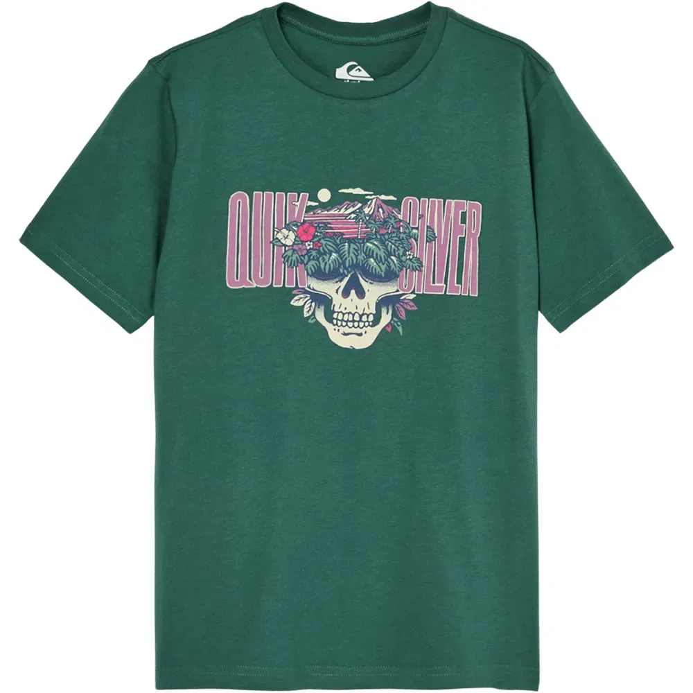 Детская футболка для мальчиков с коротким рукавом Quiksilver, Green