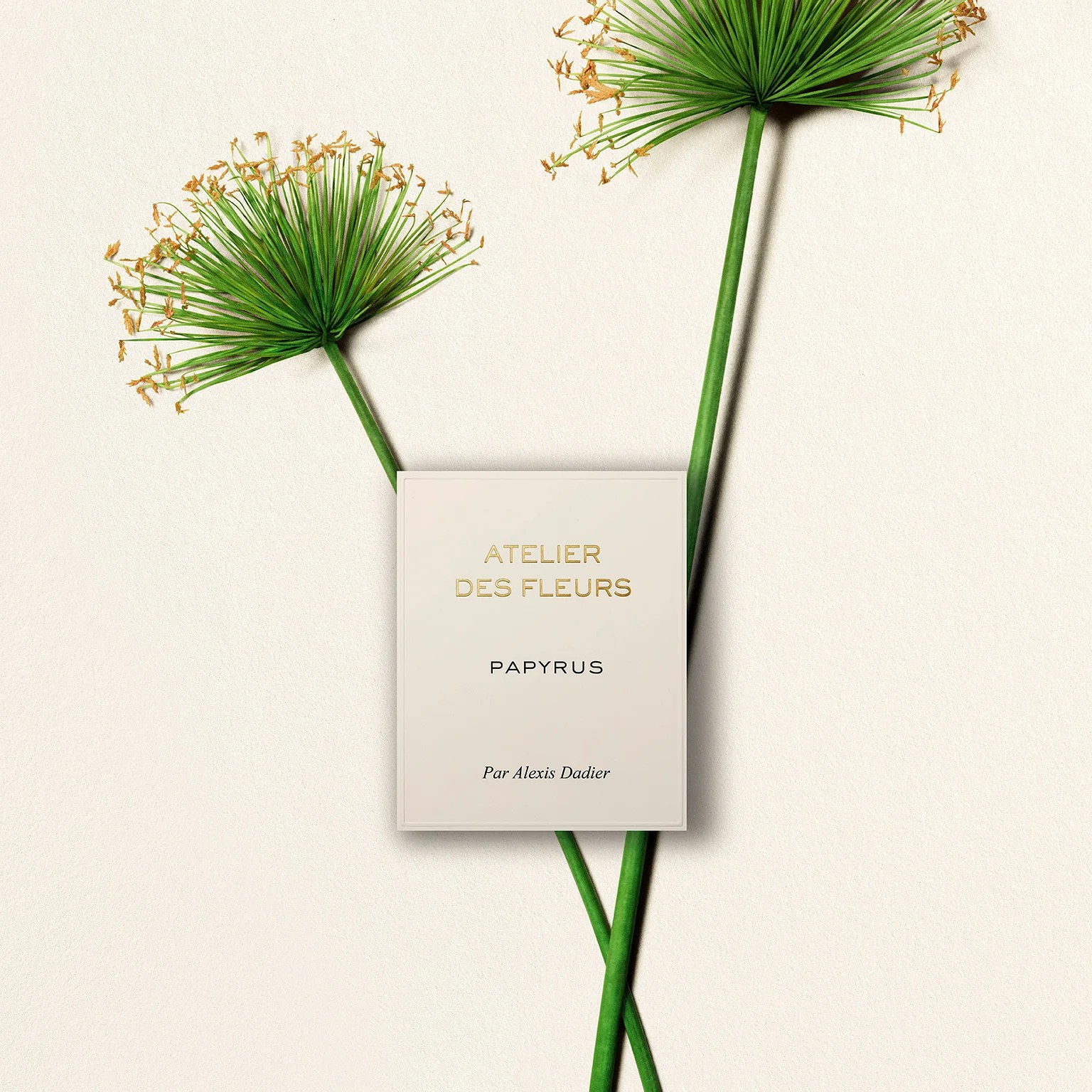Парфюмерная вода Chloe Atelier des Fleurs Papyrus — фото 3
