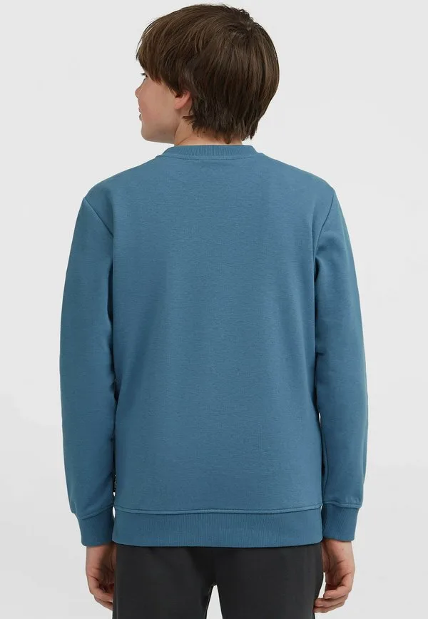 Толстовка O'Neill, Mozart Blue — фото 3