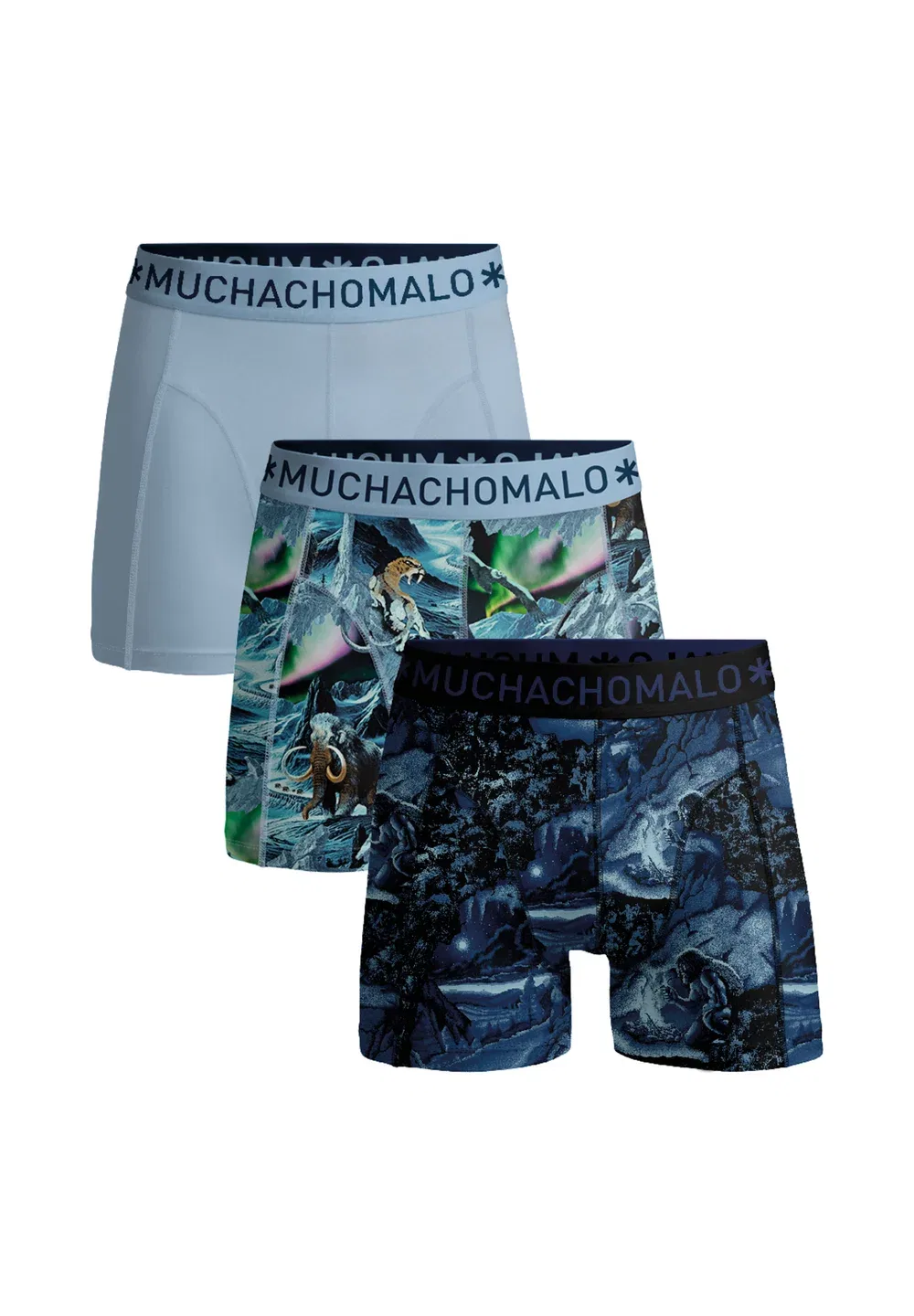 Комплект из 3 боксерских трусов Muchachomalo, Print Print Blue