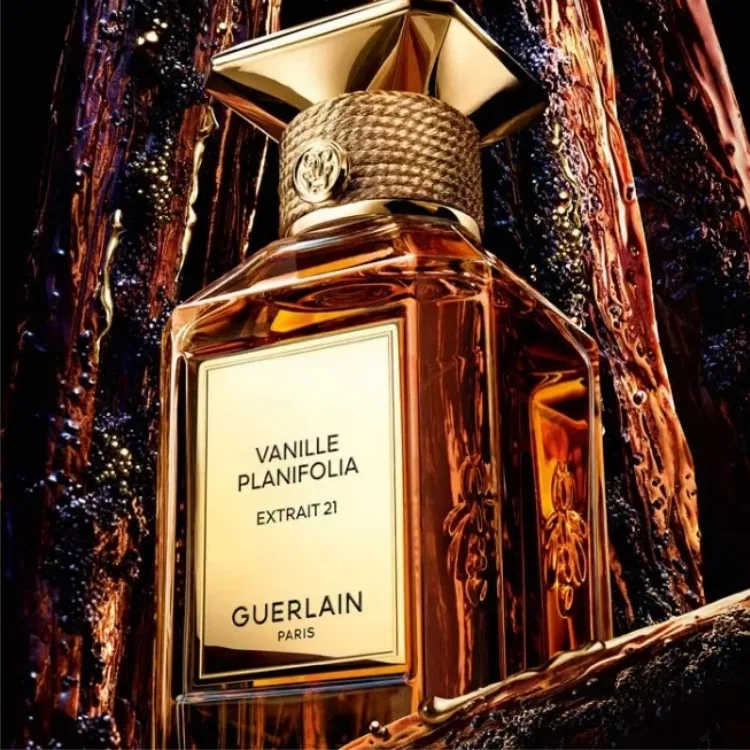 Парфюмерная вода Vanille Planifolia Extrait 21, 50 мл, GUERLAIN, Vanilla Red Myrrh Amber Musk — фото 3