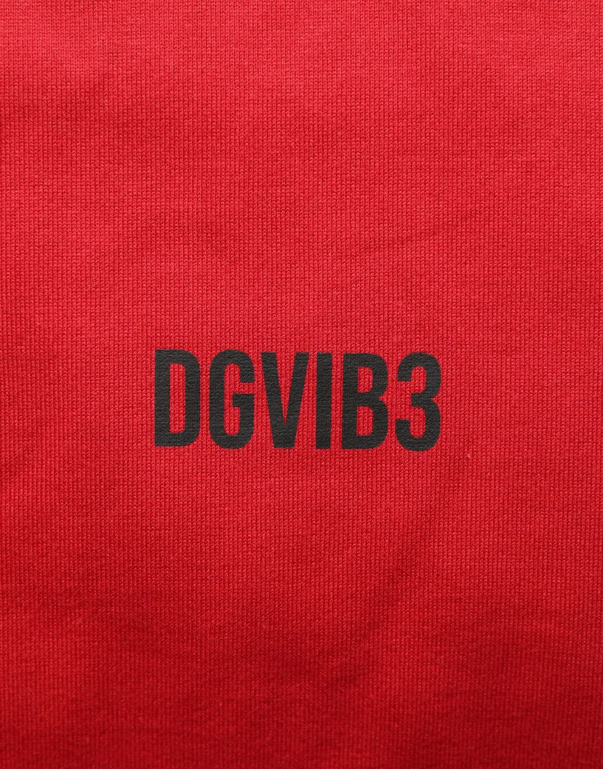 Мужская футболка с принтом DGVIB3 Dolce & Gabbana, Red — фото 2