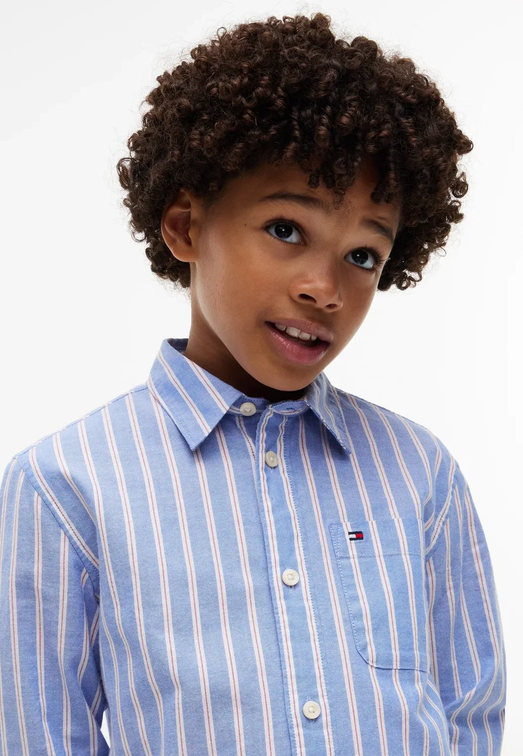 Сезонная оксфордская рубашка Tommy Hilfiger, Vibrant Blue Stripes