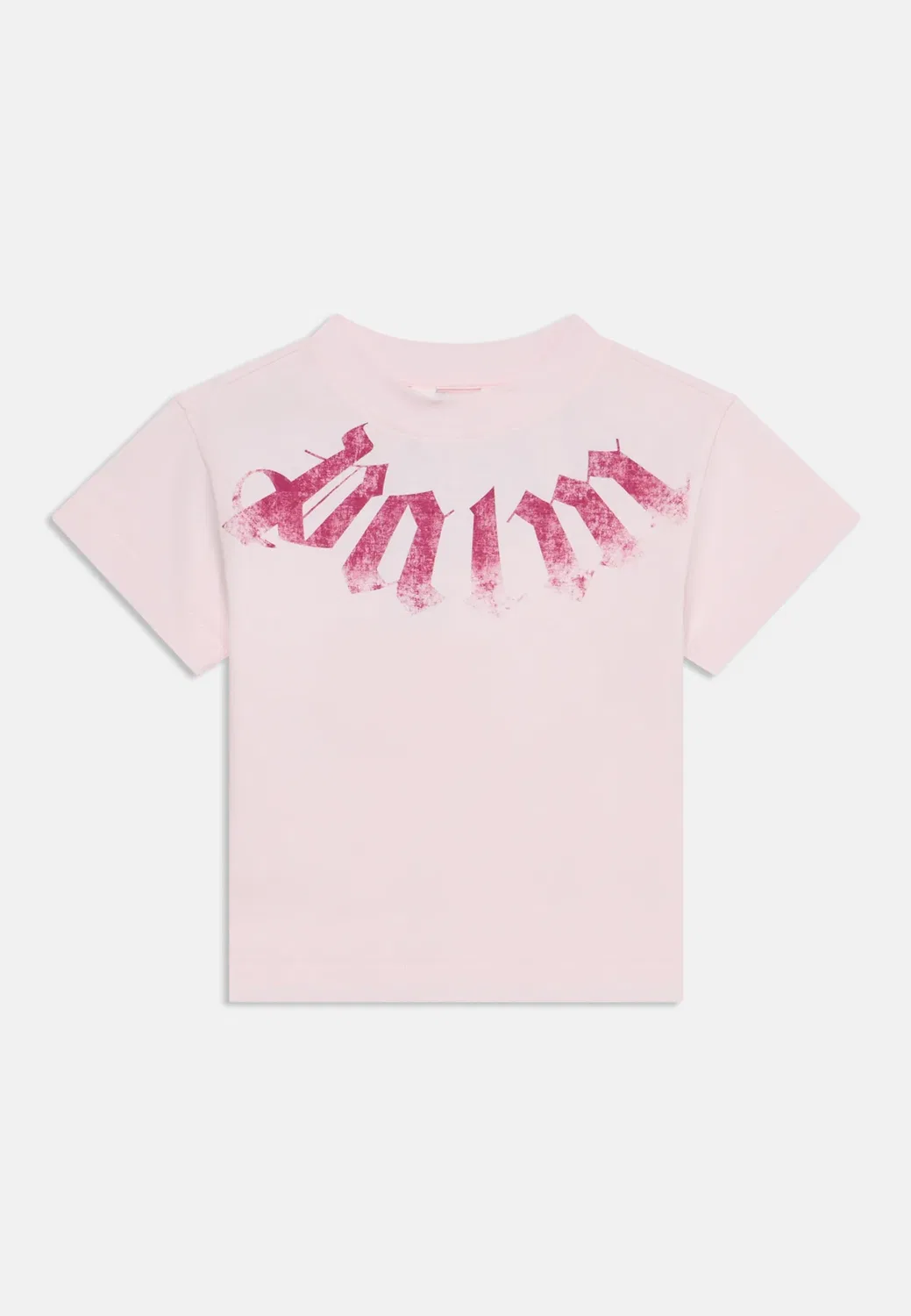 Футболка унисекс с принтом Palm Angels, Rosa/Pink