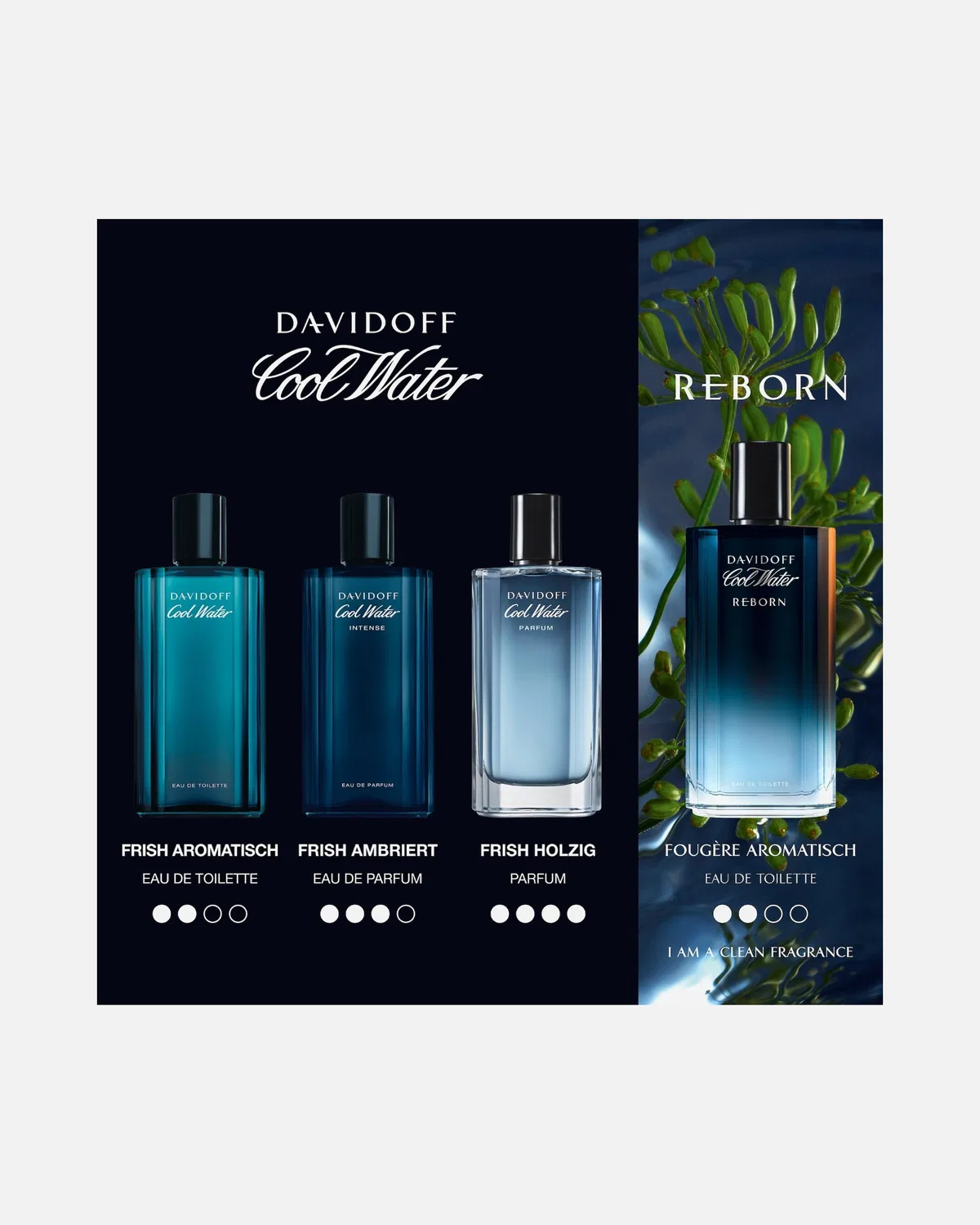 Туалетная вода прохладная вода реборн Davidoff, 75 Ml — фото 4