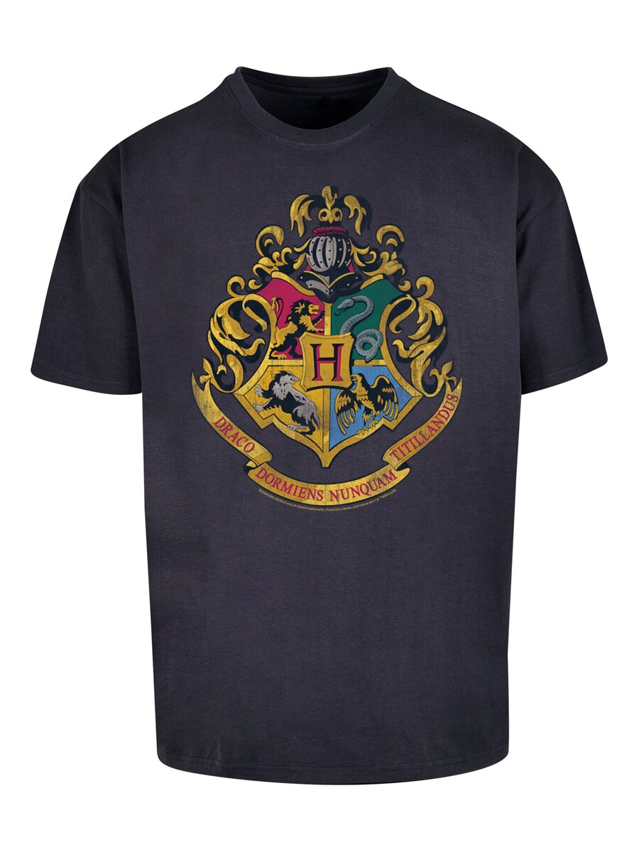 

Рубашка F4NT4STIC Harry Potter Distressed Hogwarts, синий