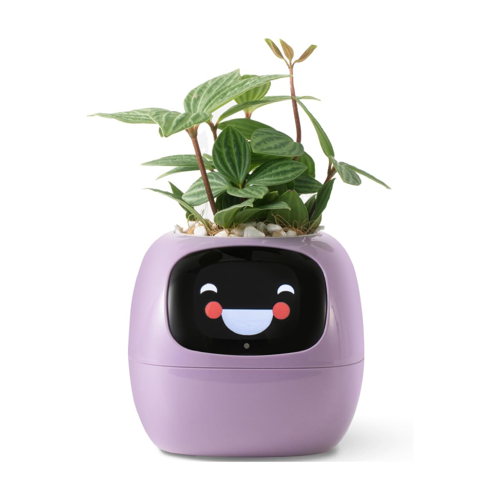 

Умный горшок для домашних растений PlantsIO IVY, фиолетовый