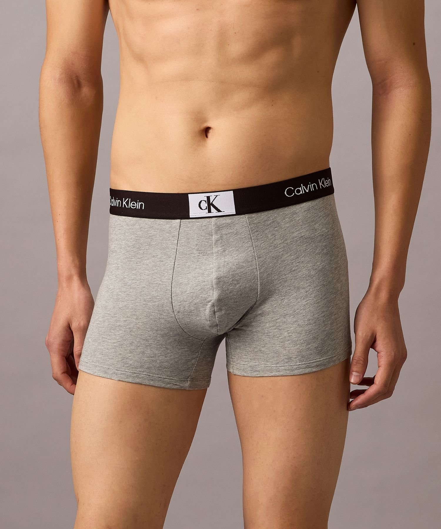 Трусы Calvin Klein 1996, нижнее белье Calvin Klein NB3403, Grey Heather