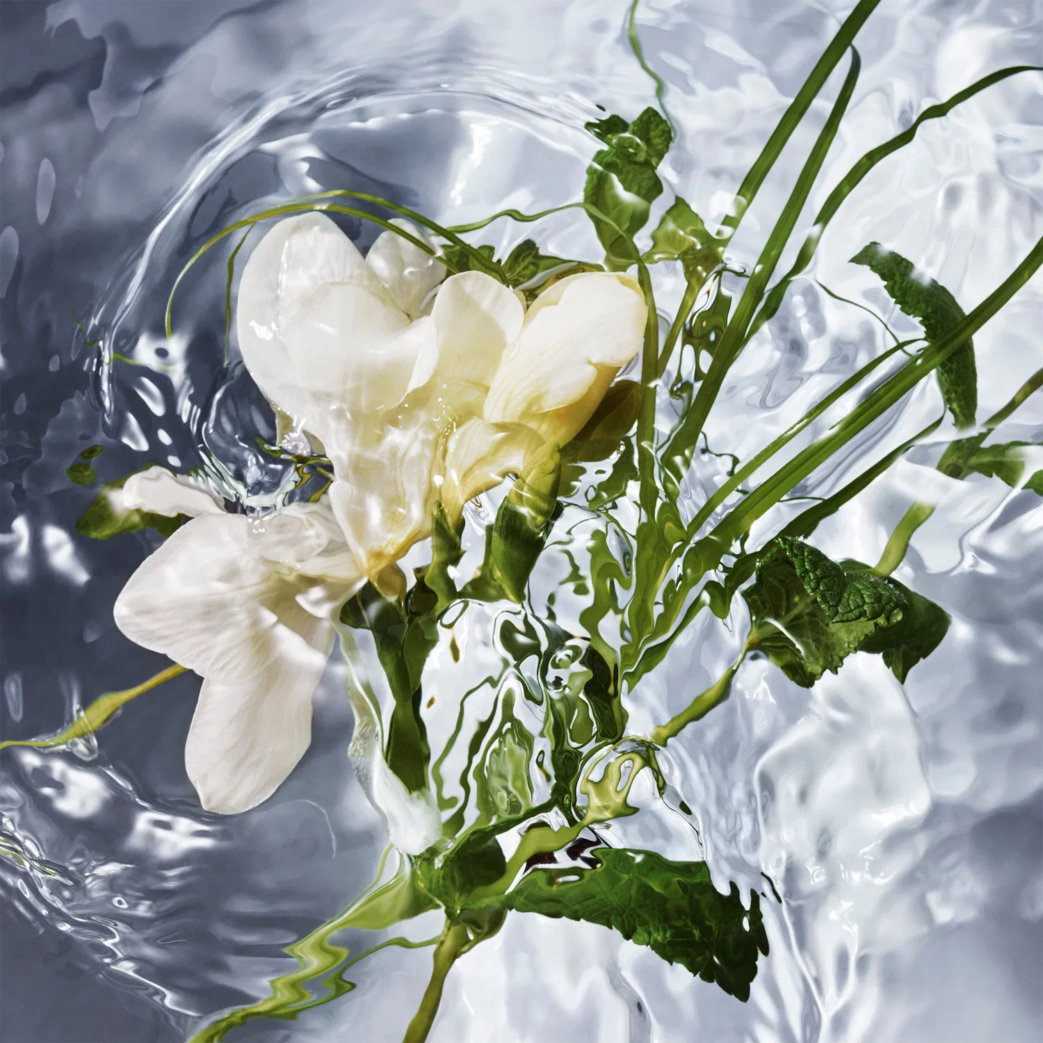 Туалетная вода заправка Herba Fresca GUERLAIN, 200 мл — фото 2
