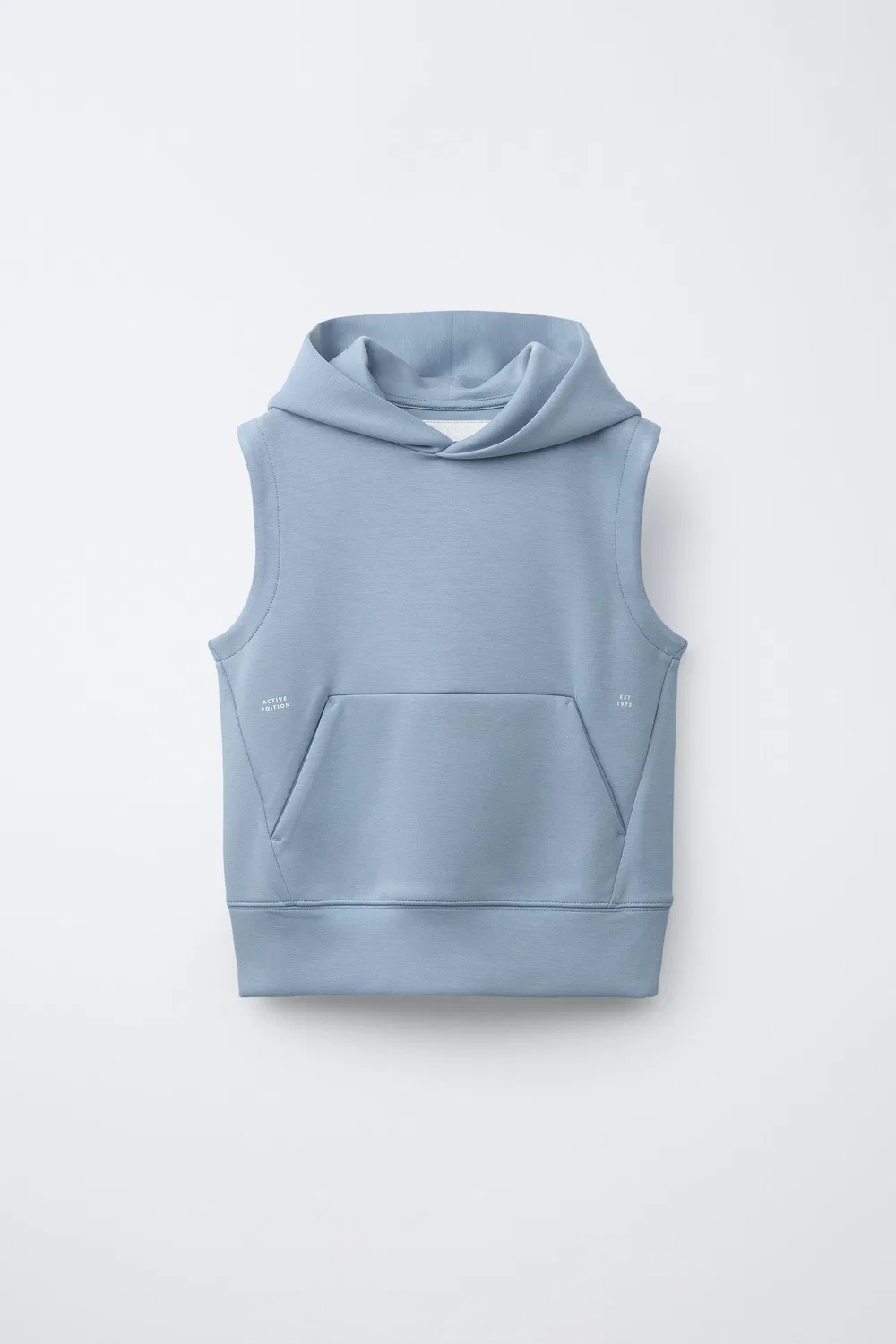 СПОРТИВНЫЙ ЖИЛЕТ С КАПЮШОНОМ ZARA, Green/Blue